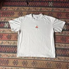 ACG ライトグレー Tシャツ XXL