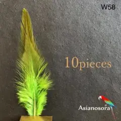 Item thumbnail for item c1a5c90a-6c22-4add-84af-3646b2a6f919