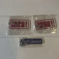しゅーず ラッフルくじ アクキー