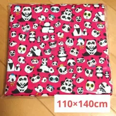 Item thumbnail for item 8b42b98d-3652-433a-84c7-3cb907de631c