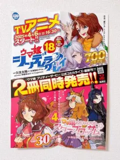 【新品・未使用】ウマ娘 シンデレラグレイ スターブロッサム B3ポスター