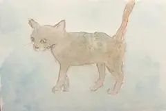 水彩画 猫 ドローイング ポストカード ハガキ