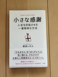 小さな感謝 鹿島しのぶ