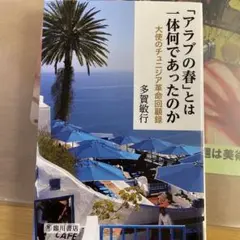 「アラブの春」とは一体何であったのか 大使のチュニジア革命回顧録