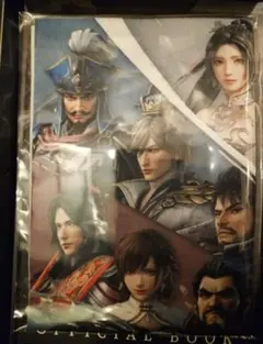 真・三國無双 ORIGINS TREASURE BOX 特典 B3布ポスター