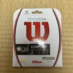 ウィルソン　ガット　sensation