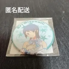 THE IDOLM@STER Dearly Stars 水谷絵理 缶バッジ
