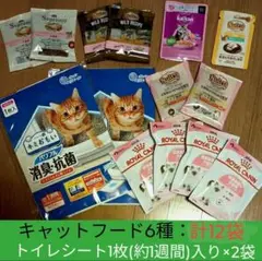 Item thumbnail for item 74c7bc5a-bba1-4758-ad28-ed02e3f1a288