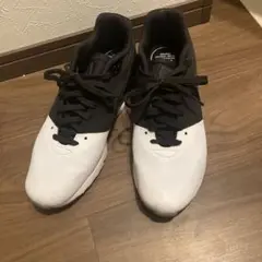 Nike エアクッション スニーカー ホワイト/ブラック