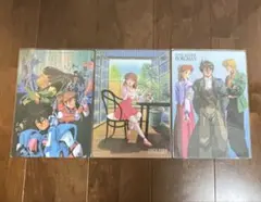 【未使用品】ボーグマン　下敷き 3枚セット【希少】