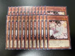 遊戯王　灰流うらら　ノーマル　24枚