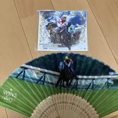 オジュウチョウサン　サイン　色紙　扇子　競馬