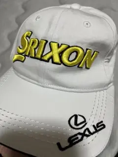 Item thumbnail for item 089952ff-9558-410d-b875-d2d86d653e81