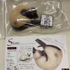 ナーゴコレクション「シャナ」※シリーズ内複数ご購入で2品目から150円引き