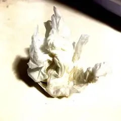 ぽぽぽぽ2
