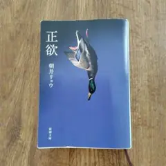 正欲