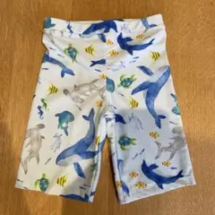 Item thumbnail for item f8bf3ade-96b7-4bab-8461-af59ead68ba2