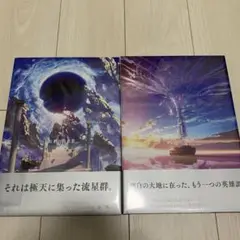 fate fgo 最終再臨画集　2点セット