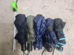 Item thumbnail for item 46685c56-e090-4cb6-95a3-f53e0277002e