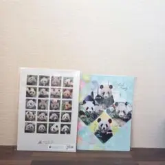 アドベンチャーワールド　パンダ　ファイル　下敷き