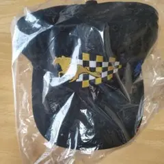 JRA ウインズ限定抽選会A賞キャップ