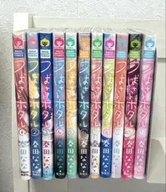 つばさとホタル 全11巻セット　春田ななさん