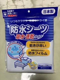 Item thumbnail for item 1333a956-31fb-4563-a6af-97d5cabc85bb
