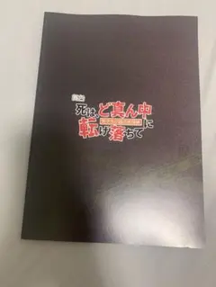 スパドラ　古川毅　舞台　パンフレット
