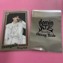 StrayKids スンミン エコパ ライブフォトカード トレカ
