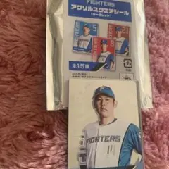 ファイターズ 加藤貴之