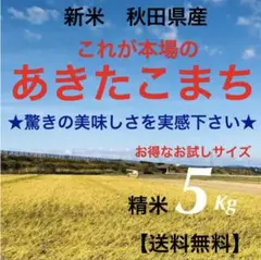 農家直送‼️令和4年度★新米★秋田県産 これが本場のあきたこまち精米5Kg