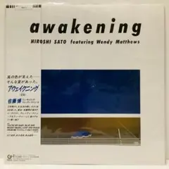 見本盤　アウェイクニング　AWAKENING 佐藤博 佐藤 博（Hiroshi Sato） - Awakening | NEWTONE RECORDS