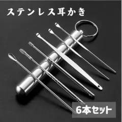 耳かき ステンレス 5種類 6本セット ケース付き スクリュー 綿棒 新品