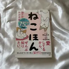 Item thumbnail for item 26d188ab-2b70-4dc8-8c25-9f3b38959402