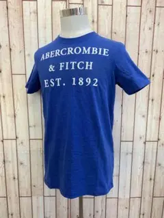 ⭐︎Abercrombi&Fitch⭐︎刺繍ロゴアメカジ半袖TシャツL【美品】a21