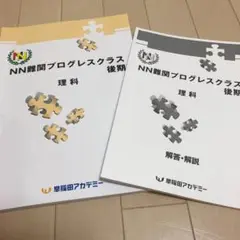 NN難関プログレスクラス後期 算数・理解