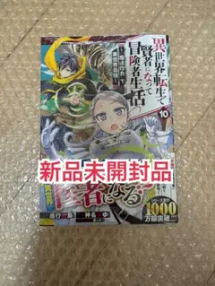 新品未開封品◆異世界転生で賢者になって冒険者生活 10