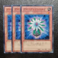 2846 グローアップ・バルブ 3枚セット