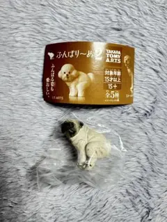 Item thumbnail for item 37662276-5652-4d18-9b20-0e85a528f968