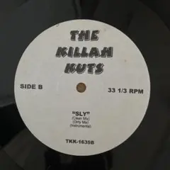 213-SO FLY 他HIPHOP REGGAE 12inch