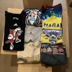 Tシャツ　27枚セット Mサイズ 古着　海外　卸