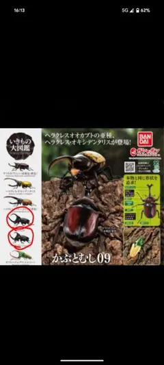 バンダイ いきもの大図鑑 かぶとむし 09