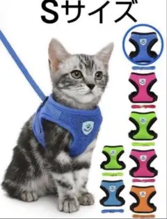 Item thumbnail for item 242eedea-5331-43e5-ab2b-3a781f3895de