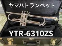ヤマハトランペットケース　YTR-6310Z用阪神タイガース公認　新品未使用品 2025年最新】yamaha ytr 6310zの人気アイテム - メルカリ