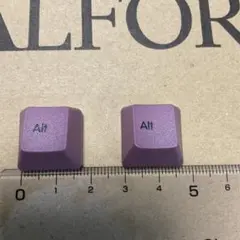 Realforce RC1 日本語配列　ダークモーブ　 alt 2個セット