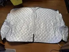 Item thumbnail for item 4e19179a-2edc-46f9-9e89-61a77833dc6b