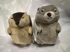マーモットのもっとっと モア VMC ぬいぐるみ　マスコット　2点セット