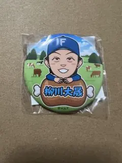 ファイターズガチャ　柳川大晟