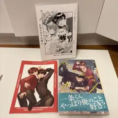 ナス子 ドライアイの恋人 特典つき