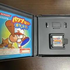 DS パワプロクンポケット14